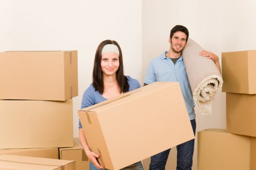Professional man and van team handling furniture carefully